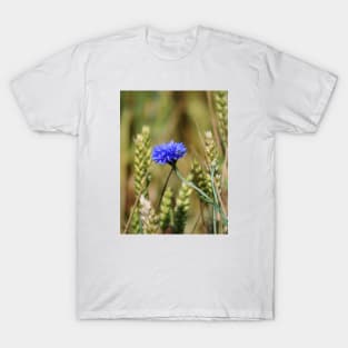Lonely Cornflower T-Shirt